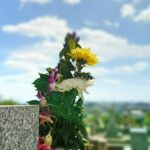 樹木葬「わごころ」 白金こもれびの杜｜品川区の樹木葬のサムネイル写真1