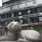 本性寺｜新宿区 ペット供養も可能の写真5