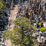 感通寺｜新宿区 「さざれ石」のある寺院墓地の写真2