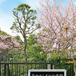 泉やすらぎの丘霊園｜横浜市泉区のバリアフリーの公園墓地で永代供養の写真4