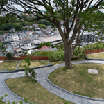 横浜令和の杜｜南太田駅から徒歩5分、ペットも一緒の樹木葬墓地の写真4