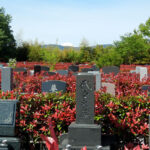 エクセレント八王子聖地｜八王子市 富士山が見えるお墓でペットとずっと一緒のサムネイル写真3