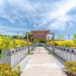 横浜あおば霊苑 ｜横浜を一望する高台にある公園墓地のサムネイル写真7