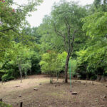 東京里山墓苑｜八王子市 里山の豊かな自然の中で眠る樹木葬の写真3
