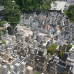 善福寺｜都内の歴史あるお寺の写真1