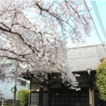 大信寺 之音堂｜アクセス良好な桜の名所の墓地の写真2