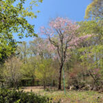 東京里山墓苑｜八王子市 里山の豊かな自然の中で眠る樹木葬の写真