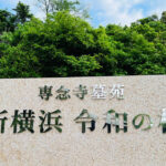 新横浜令和の杜｜高台から新横浜を一望できる樹木葬の写真7