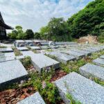 新横浜令和の杜｜高台から新横浜を一望できる樹木葬の写真9
