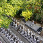 陽光院｜横浜駅から一駅ながら緑に囲まれ鳥がさえずる永代供養墓のサムネイル写真5