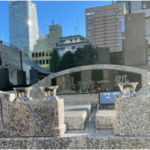 常國寺｜都心の緑豊かで心安らぐ空間のサムネイル写真3