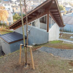 本覚寺の森 観音霊園｜鶴見区の桜の木の下の永代供養墓、樹木葬のサムネイル写真4