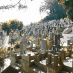 樹源寺｜保土ヶ谷区の緑あふれる日当たり良好な墓地の写真3