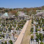 大法寺 まや霊園｜八王子市 桜が咲き誇る寺院墓地の写真1