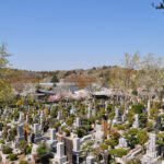 大法寺 まや霊園｜八王子市 桜が咲き誇る寺院墓地の写真3