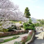 メモリアルパーククラウドあきる野の写真1