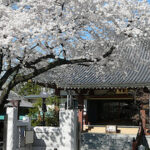 原宿浄苑｜春には桜が美しい墓苑の写真1