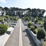 昭和霊園 樹木葬「こだまの庭」｜松戸市 管理費0円　今注目の樹木葬のお墓のサムネイル写真5