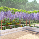 船橋 昭和浄苑｜船橋市 送迎付きの霊園　ペットと共に眠る樹木葬のサムネイル写真3