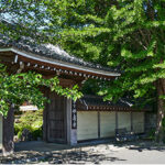 本覺山 妙壽寺｜寺町エリアの緑豊かな寺院の写真2