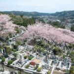 大多摩霊園｜青梅市 雄大な自然に囲まれた桜と紅葉の公園墓地の写真1