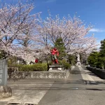 瑞応寺｜足立区 500年の歴史ある真言宗の古刹 春には桜が咲き誇るお墓の写真1