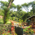 千の風みらい園｜大島町 ログハウスがあるリゾート型の樹木葬 ペット供養もの写真2