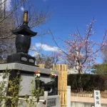 染谷の里 大宮四季彩霊苑｜桜の下に眠る永代供養墓の写真4