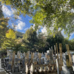 妙祐久遠寺｜京都市右京区 嵐山の自然に囲まれたお墓 四季折々の風景が美しいのサムネイル写真1