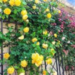 永代供養墓「風の標識」板橋向原浄苑｜板橋区 ガラス壁が美しい永代供養墓のサムネイル写真9