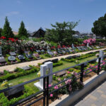 八千代ふれあいパーク｜駅近で好アクセス　人気のバラの樹木葬「ダイアナ」の写真2