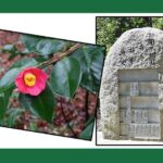 東福寺 即宗院「自然苑」｜京都市東山区 宗教不問の樹木葬のある寺院墓地 野生動物にも会えるのサムネイル写真7