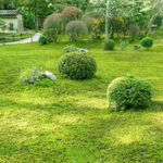 東福寺 即宗院「自然苑」｜京都市東山区 宗教不問の樹木葬のある寺院墓地 野生動物にも会えるのサムネイル写真6