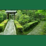 東福寺 即宗院「自然苑」｜京都市東山区 宗教不問の樹木葬のある寺院墓地 野生動物にも会えるのサムネイル写真2