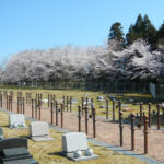 成田メモリアルパーク｜直通バスあり　花と緑あふれる広大な公園墓地で永代供養の写真3