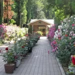 川越エンゼルパーク霊園｜四季折々の花が咲き誇る洋風霊園の写真1