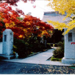 圓應寺 のうこつぼ｜墓じまい不要　秋には紅葉の美しい寺院で安心の永代供養の写真1