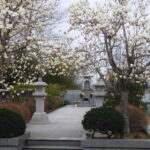 円福寺｜ペットと一緒に入れる区画あり　墓じまい不要の永代供養墓の写真1