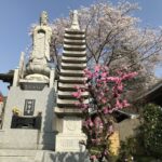 佛法寺｜樹齢300年を超える白梅に迎えられる霊園の写真1