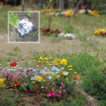 真光寺 里山の樹木葬｜ペットと一緒　自然にかえる樹木葬の写真3
