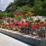 ハピネスパーク交野霊園｜交野市 60種類以上のバラが咲き誇るガーデン風霊園 完全バリアフリーで安心の写真1