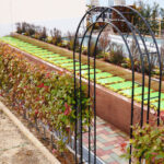 美原東ロイヤルメモリアルパーク｜羽曳野市 多彩なお墓プランとヨーロッパのガーデン風デザインが魅力の霊園のサムネイル写真12