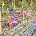 黒崎小嶺霊園｜北九州市の永代供養墓 ペットも一緒に眠れるガーデン墓地のサムネイル写真2