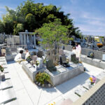 観音寺 ｜年間管理費不要の樹木葬、永代供養墓のある寺院の写真1