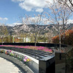 パークフォレスト東大阪｜東大阪市 多彩な樹木葬のプランが魅力のガーデン風霊園 春には桜が美しいのサムネイル写真3