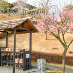 森林公園 昭和浄苑｜花に包まれ、ペットと眠れる樹木葬の写真2