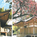 プレミアム栗橋静桜の里樹木葬墓地｜たくさんの花に囲まれた樹木葬のサムネイル写真9