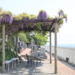 湘南セメタリーパーク｜国府津駅から徒歩６分の高台にある海の見える霊園の写真5