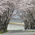 東山霊園｜名古屋市守山区 庄内川を見渡す眺めのすばらしい霊園 バリアフリーで快適のサムネイル写真5