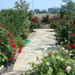 メモリアルローズガーデン フォレスト愛西｜愛西市 色とりどりのバラに囲まれた心華やぐガーデン風霊園の写真2